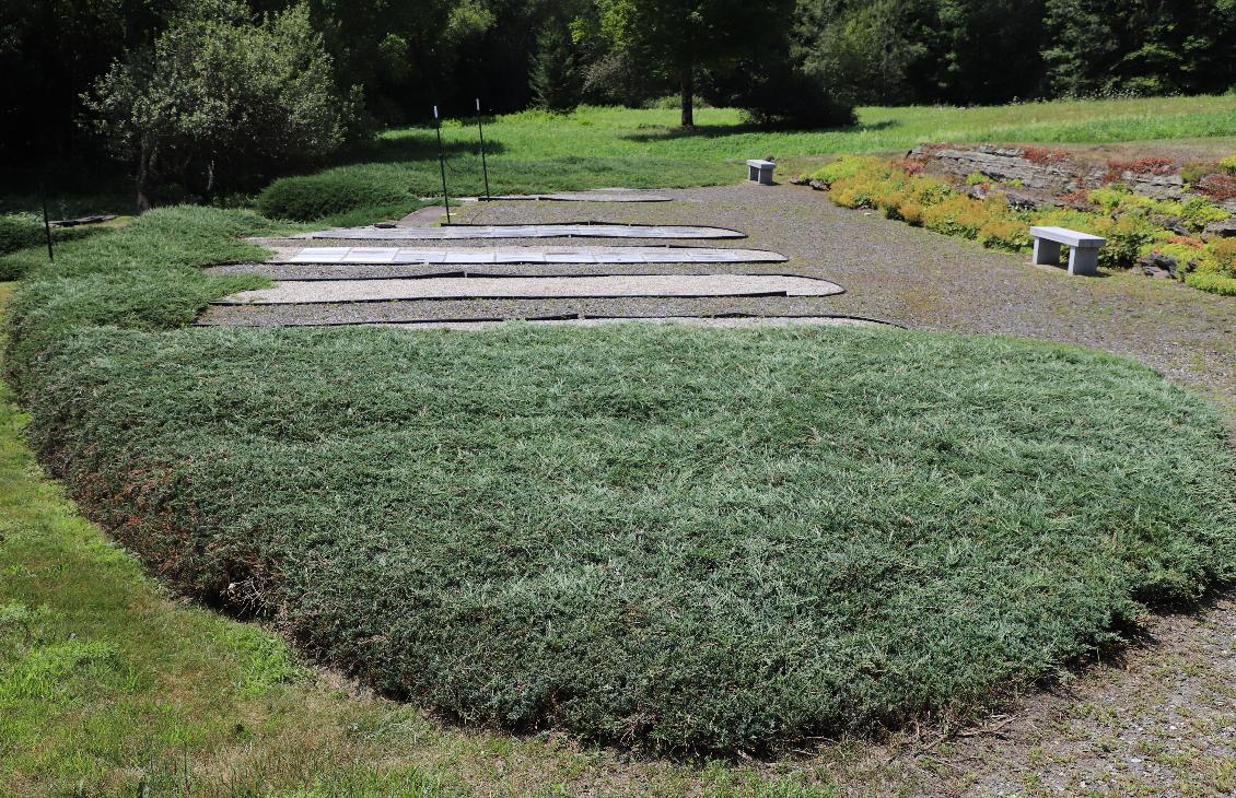 Vermont Veterans Memorial Cemetery - Memorial Garden